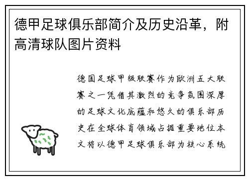 德甲足球俱乐部简介及历史沿革，附高清球队图片资料